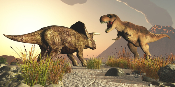 Why your company's collective brain shouldn't resemble that of a dinosaur